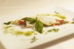 Carpaccio di baccalà in panzanella di profumi estivi e salsa thatzichi 