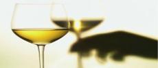 Carta dei Vini Bianchi