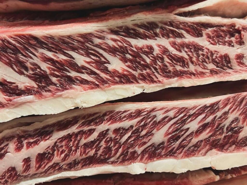 Piatti-sora-maria-e-arcangelo-00001